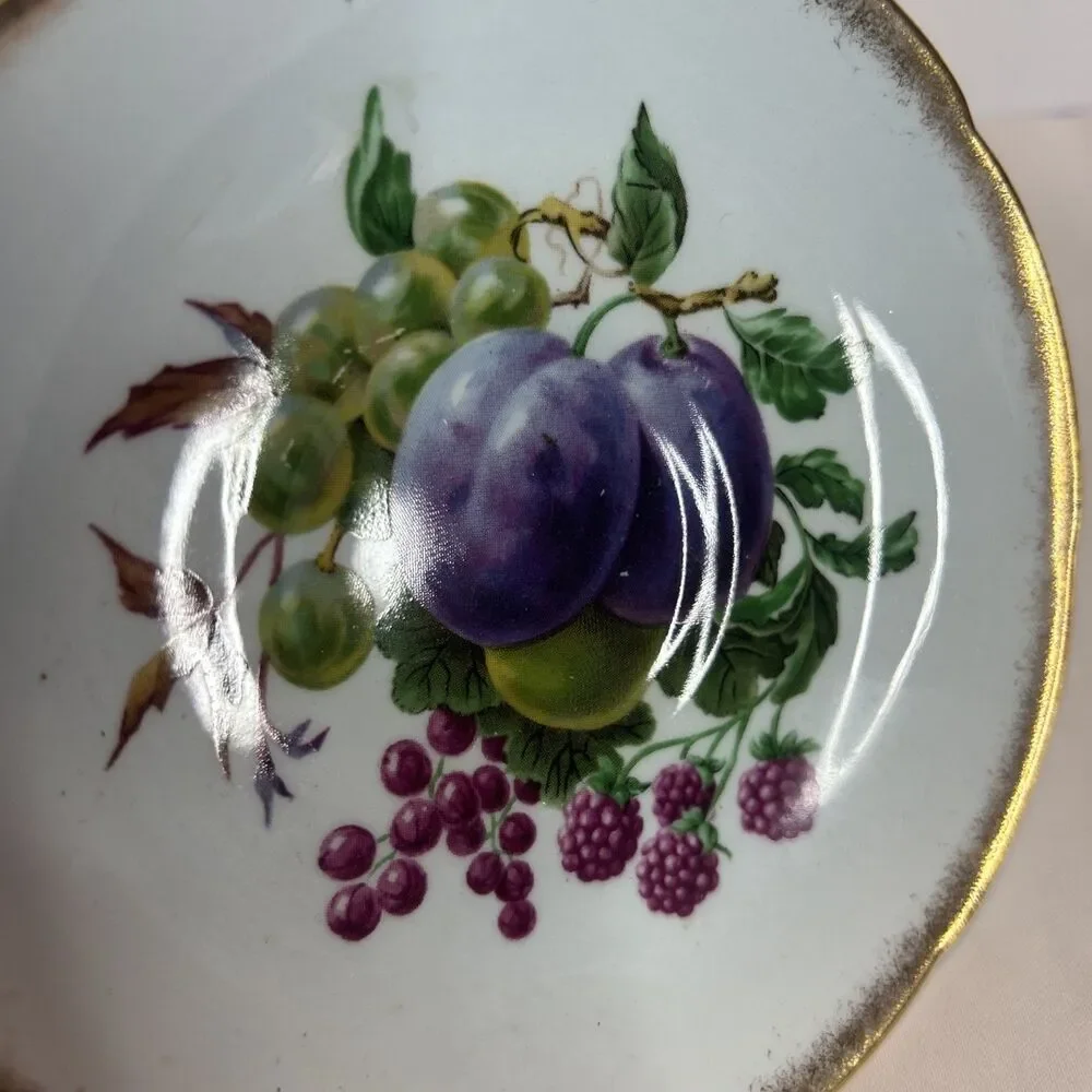 ROYAL GRAFTON Plums and Green Grapes Fine Bone China Saucer